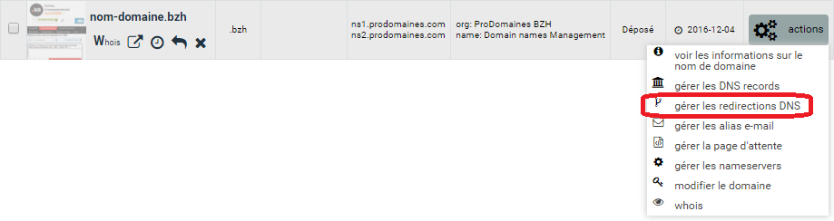 capture d'écran de l'extranet ProDomaines : actions sur un nom de domaine