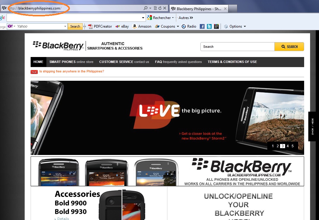 screenshot d'un site cybersquattant Blackberry