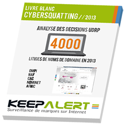 livre blanc cybersquatting