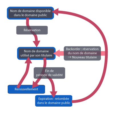 schéma : cycle de vie d'un nom de domaine